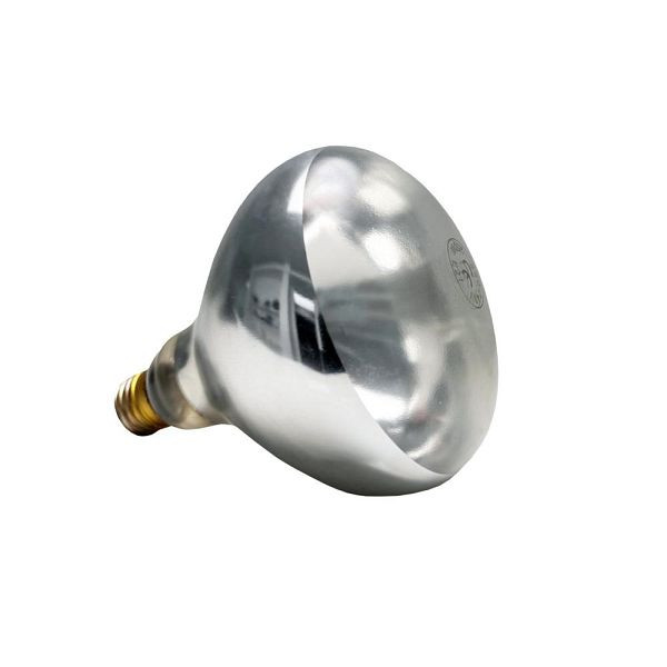 APS nadomestna žarnica za grelno sijalko, E27, topla bela, 250 W, Ø 12,5 cm, 12266