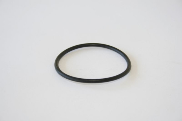 ELMAG O-ring za bajonetni del za vodno črpalko S 1 (Ø50mm), 9601325