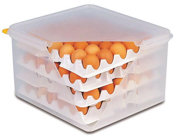 APS plasti za škatlo za jajca, vsaka 28 x 28 cm, polistiren, primerna za art. 82419, paket 10 kom, 82420