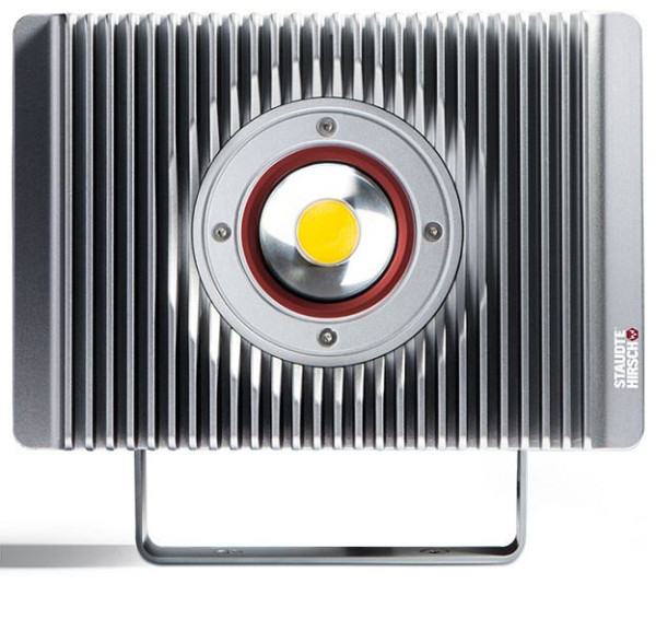 Staudte Hirsch LED stenski reflektor SH-5.710, 60 W, 6.000 lm, 557100