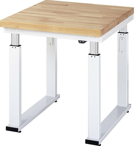 RAU delovna miza serije adlatus 600 (električno nastavljiva višina), 750x900x900 mm, 08-WB-075-090-B