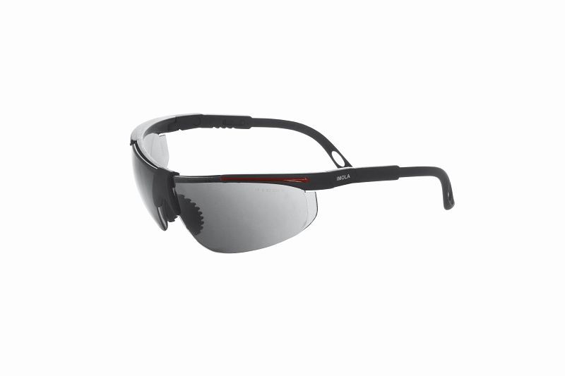 Zaščitna očala AEROTEC IMOLA / Anti Fog - UV 400 - siva, 2012009